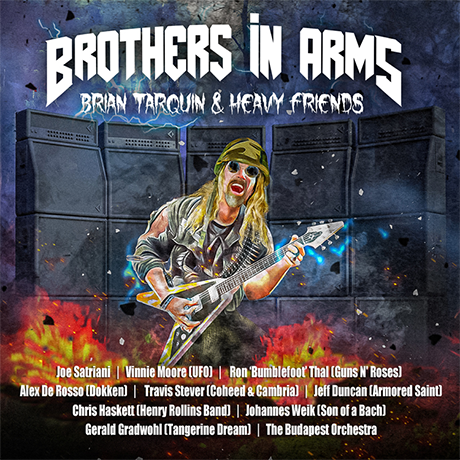 Brothers in Arms Album Cover