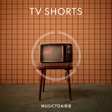 album cover of TV shorts