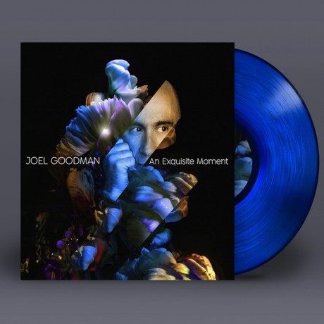 album cover of Joel Goodman's An Exquisite Moment