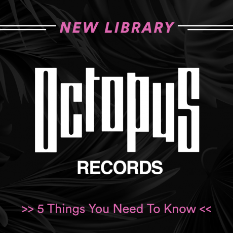 blog_new_library_octopus